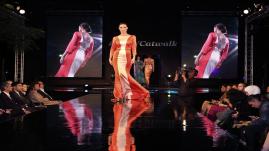 DSFV Catwalk